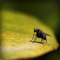 /album/move50dalton/photolia-a07-jpg/